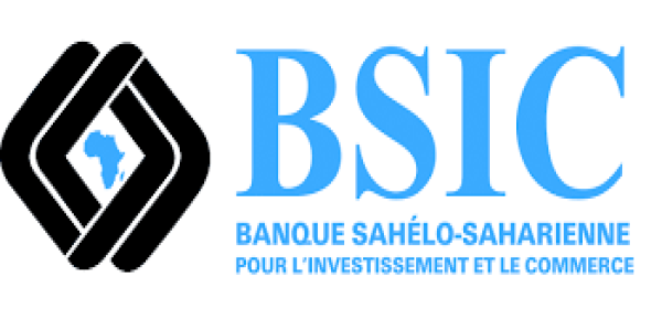 bsic-logo